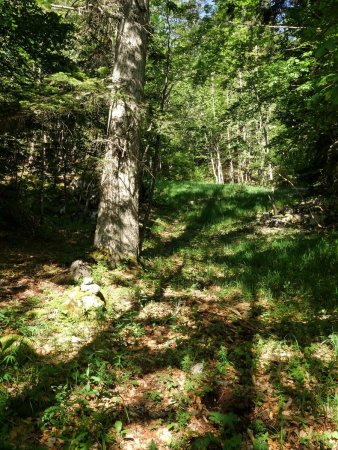 En montant au Belvédère de la Coinchette