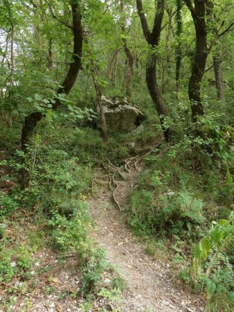 Le départ du sentier en direction de la rampe ouest