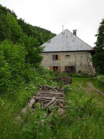 Ferme du Morbier