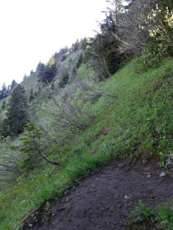 En sortant de la Forêt de Chevron