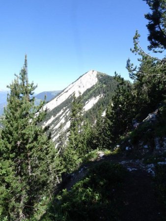 À la descente : la Dent du Villard