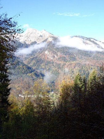 L’Abbaye de Tamié et la Sambuy à l’occasion d’une trouée dans la forêt