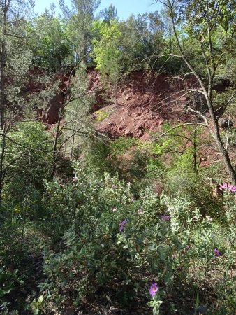 Terre riche en bauxite