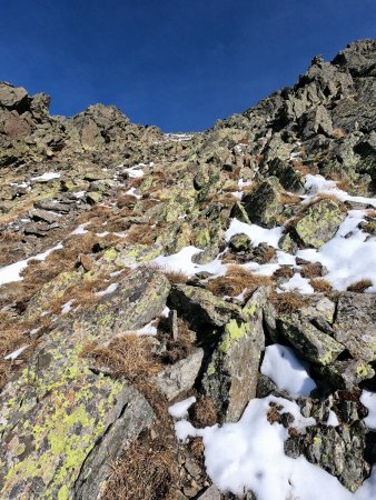 Dans la montée vers le Puig de Solana Carnicera.