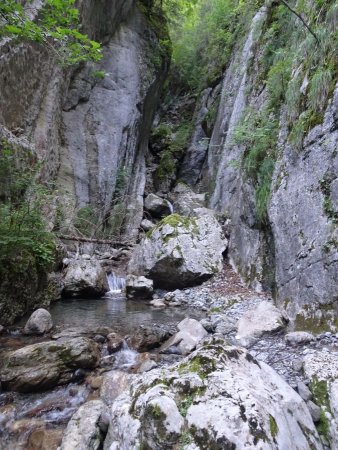 Ruisseau des Farnets au Pont de Leyat