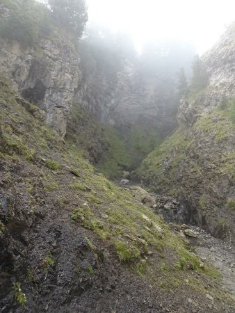 Torrent du Courou