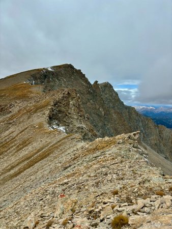 Bientôt le terrain herbeux