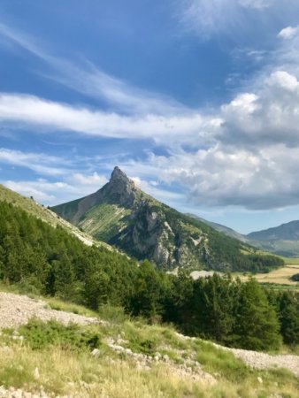 Route forestière