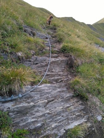 Passage câblé de 20m pour rejoindre le col entre l’Aulp et Mandallaz