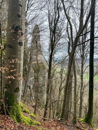 Élaguer quelques arbres permettrait sans doute de mieux profiter de la vue sur le Moine