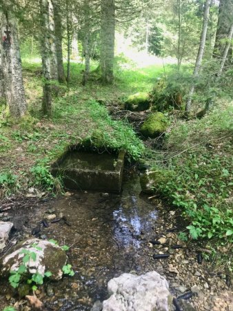 La source du Pré de la Morte