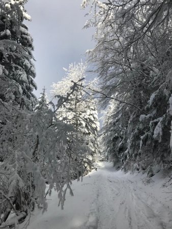 Un petit rayon de soleil en montant