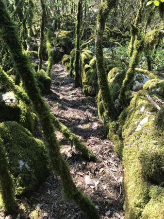 Mont Gela : Ancien chemin aménagé