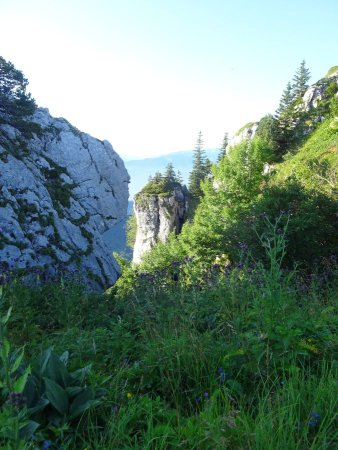 Arrivée sur la ligne de crête