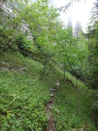 Regard arrière sur le sentier