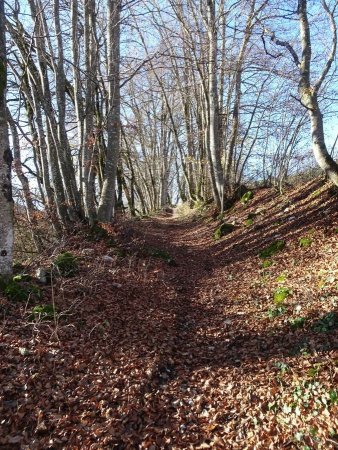 Montée vers la Magne