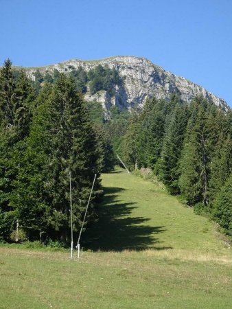 Sous le Mont d’Or