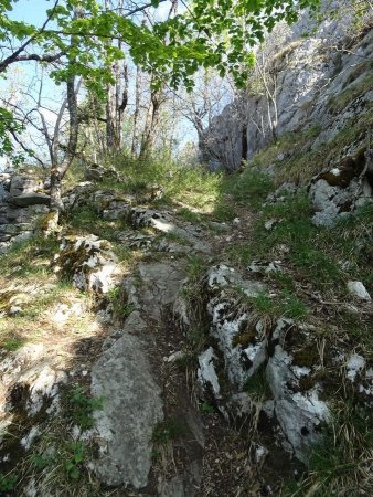 Sentier sur la crête