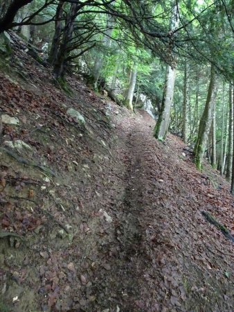 Sentier de la Rousse