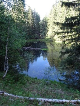 Lac du Mont Mayen