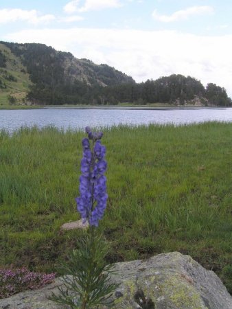 Le lac d’AUDE