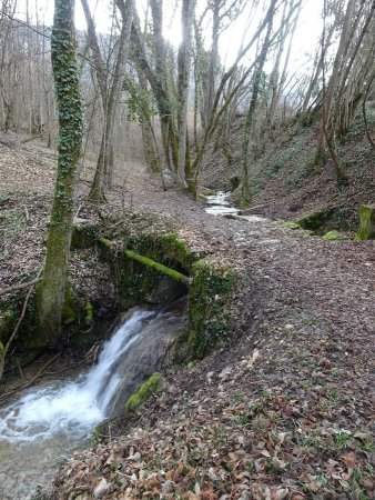 Le long du ruisseau