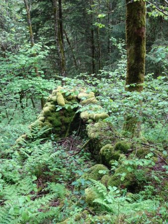 Ruines le long du sentier