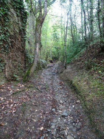 Montée vers le belvédère