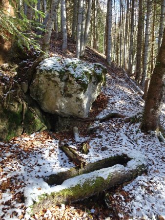 Sur le sentier