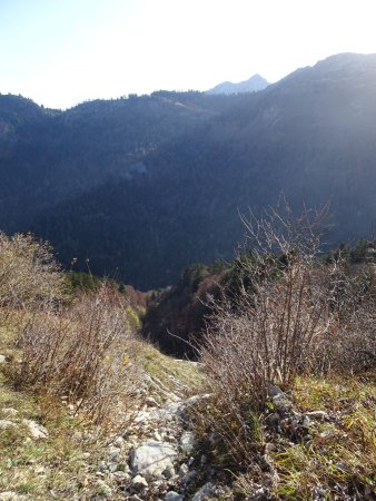 En montant vers l’alpage de Tête Noire