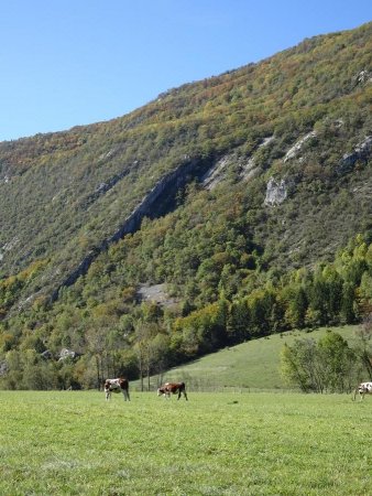 Les Pierres du Quart