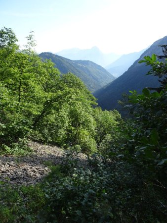 Les Rois : vallon de St-Ruph