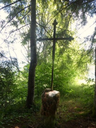 La Croix de Rossant dissimulée dans les bois