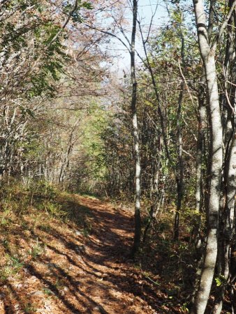 Le sentier des crêtes