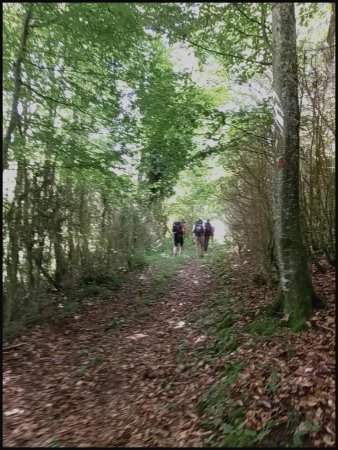 Et chemin boisé.