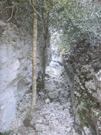 Entrée dans la combe de Curnier