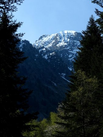 La Cîme de la Moutière.