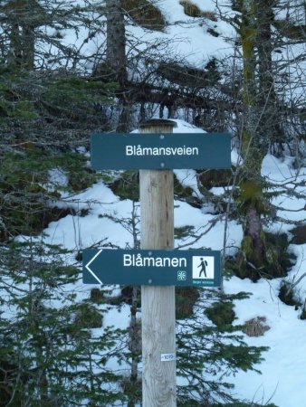 Là où l’on tourne à gauche pour Blåmanen.