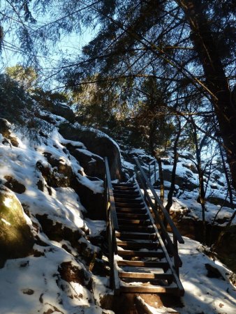 Passage aménagé dans la forêt qui marque le début de la montée pour Løvstakken.