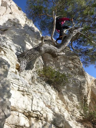 Une grimpée originale pour récupérer le sentier principal (rouge) au dessus de la Lèque