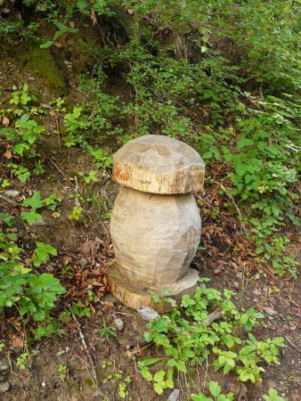 Un gros cèpe en bois marque le point de départ du sentier de l’arête ouest