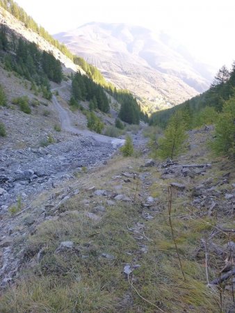 Dans le rétro, la piste