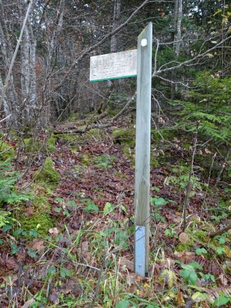 Au panneau, suivre le sentier à gauche