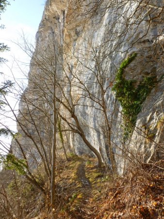 Le sentier d’accès aux peintures