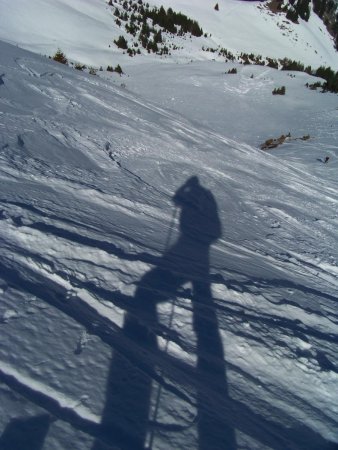 Dans la pente NW, presque en haut, au soleil.