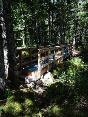 Passerelle sur les eaux de la Petite Gillarde