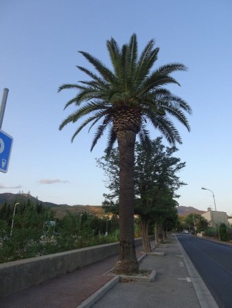 Avenue Général de Gaulle