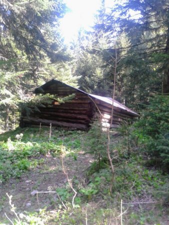 Cabane de queue de chien.