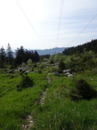 Sur le sentier menant au belvédère du Planay