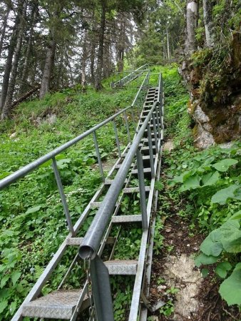 Pointe de Tréchauffé : les escaliers